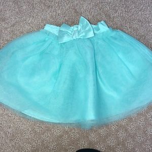 Vintage Janie and Jack tule skirt